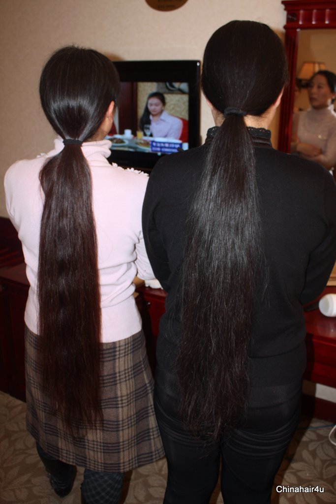Long hair, hair show, haircut, headshave video download Long hair, hair show, haircut, headshave video download